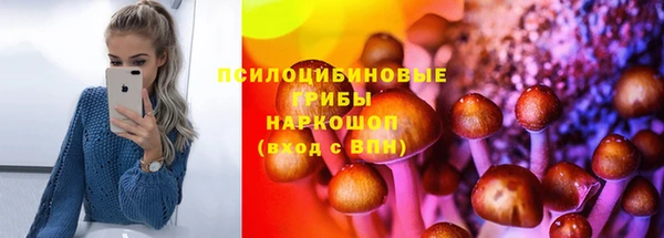 mdpv Каменка