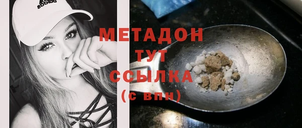 мдпв Инсар