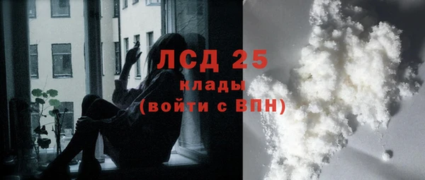 mdpv Каменка