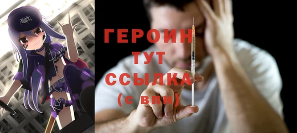 мдпв Инсар