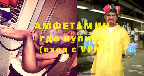 мдпв Инсар