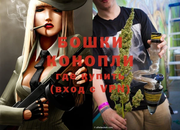 мдпв Инсар